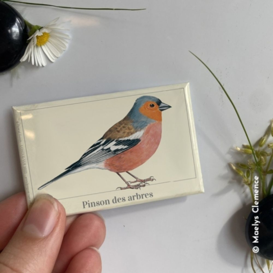 Pinson des arbres - Magnet