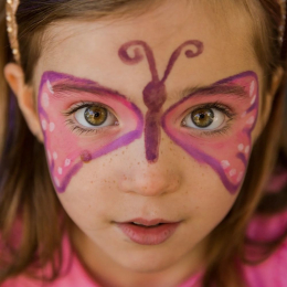 Kit de maquillage 4 couleurs - Papillon