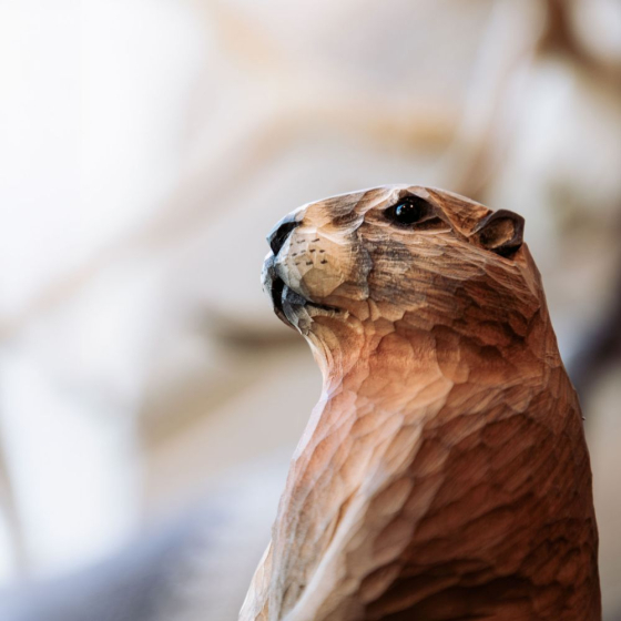 Décoanimal Marmotte des alpes