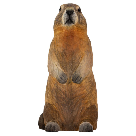 Décoanimal Marmotte des alpes