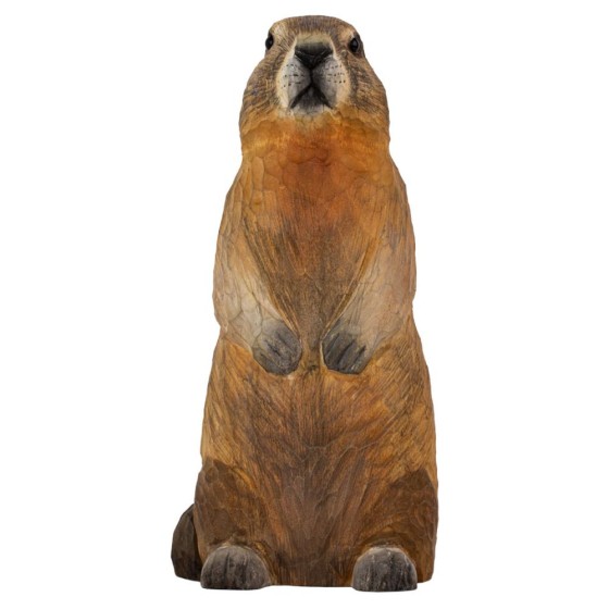 Décoanimal Marmotte des alpes
