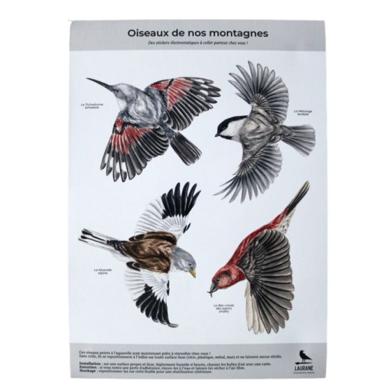 Silhouettes anti-collisions : Pack de 4 oiseaux des montagnes