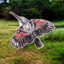 Silhouettes anti-collisions : Pack de 4 oiseaux des montagnes