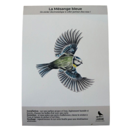 Silhouette anti-collision : Mésange bleue en vol