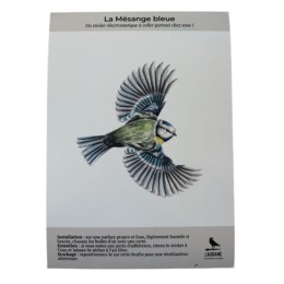 Silhouette anti-collision : Mésange bleue en vol