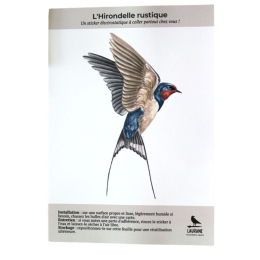 Silhouette anti-collision : Hirondelle rustique