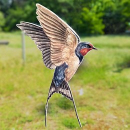 Silhouette anti-collision : Hirondelle rustique