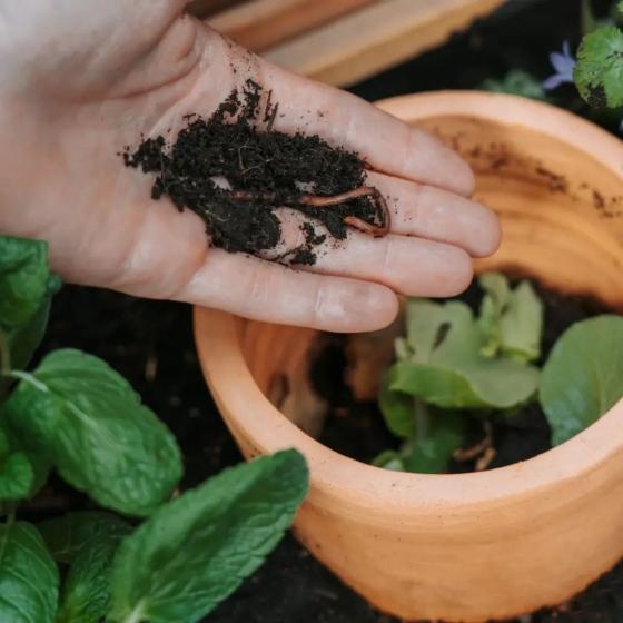 Composteur Colonne à planter Ceercle