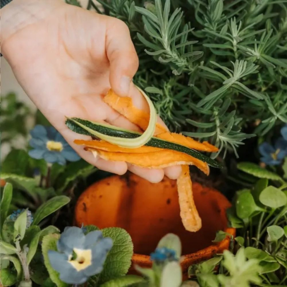 Composteur Colonne à planter Ceercle