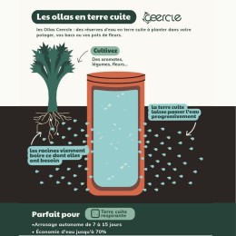 Lot de 3 Olla en terre cuite - 21 cm 2 litres