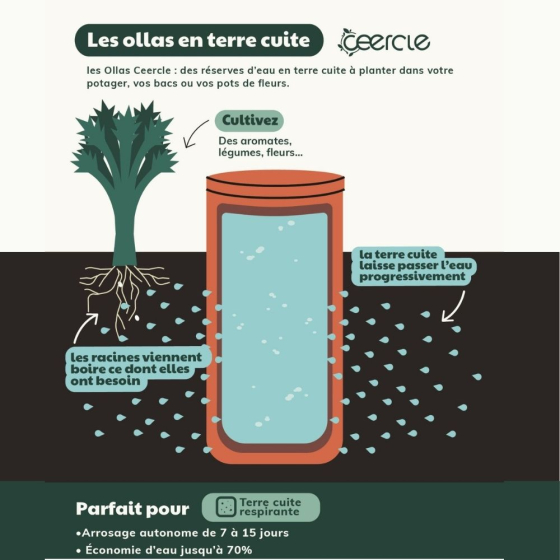 Lot de 3 Olla en terre cuite - 21 cm 2 litres