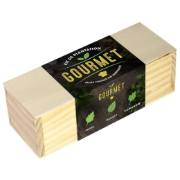 Kit d’Auto-culture Gourmet - Persil, basilic et coriandre
