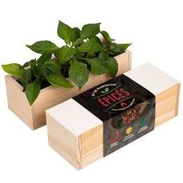 Kit d’Auto-culture Épices - Piment, habanero et jalapeño
