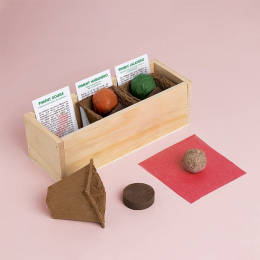 Kit d’Auto-culture Épices - Piment, habanero et jalapeño