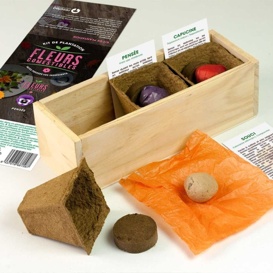Kit d’Auto-culture Fleurs comestibles - Souci, pensée et capucine