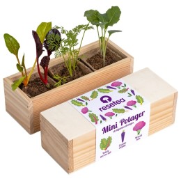 Mini potager de légumes étranges