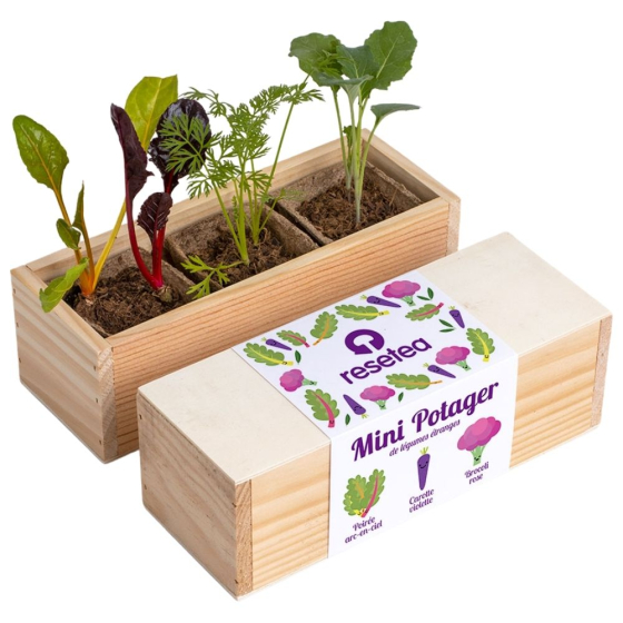 Mini potager de légumes étranges