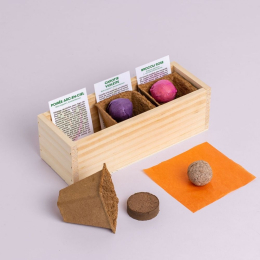Mini potager de légumes étranges