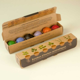 Pack de 6 bombes de graines aromatiques