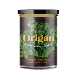 Potager d'origan pour la cuisine