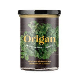 Potager d'origan pour la cuisine