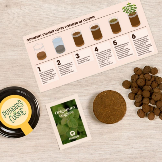 Potager d'origan pour la cuisine