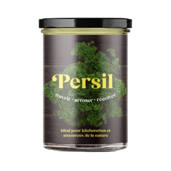 Potager de persil pour la cuisine