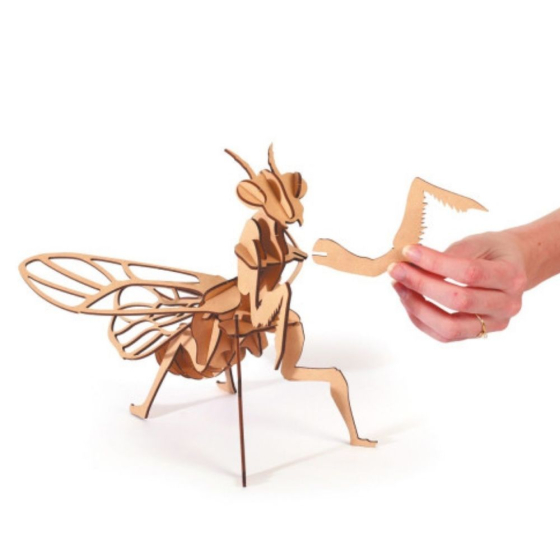 Maquette 3D - Mante Religieuse