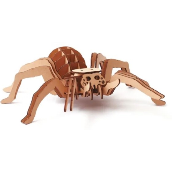Maquette 3D - Araignée