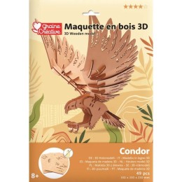 Maquette 3D - Condor