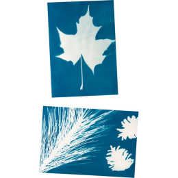 Papier d'impression solaire