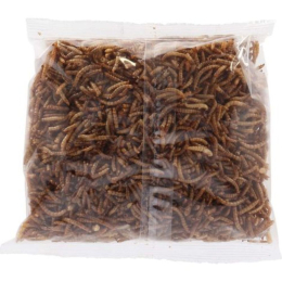 Vers de farine séchés - 125g