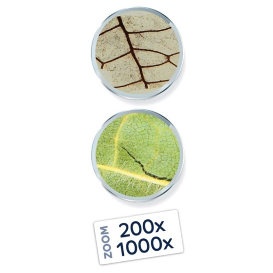 Microscope Vidéo expert