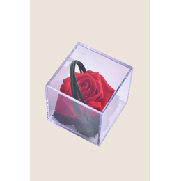 Rose rouge Melchor stabilisée