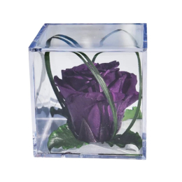 Rose pourpre Melchor stabilisée
