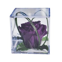 Rose pourpre Melchor stabilisée