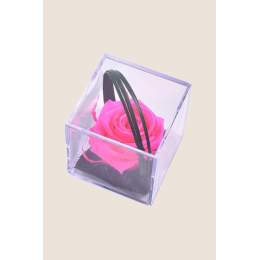 Rose Lilas brillant Melchor stabilisée