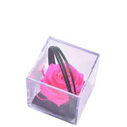 Rose Lilas brillant Melchor stabilisée