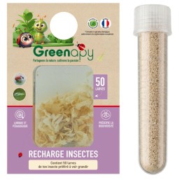 Recharge pour kit : J'élève mes coccinelles