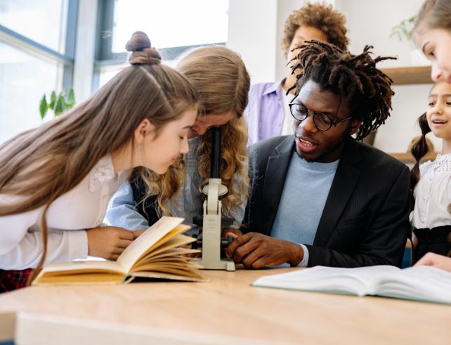 observation au microscope des ailes du papillon