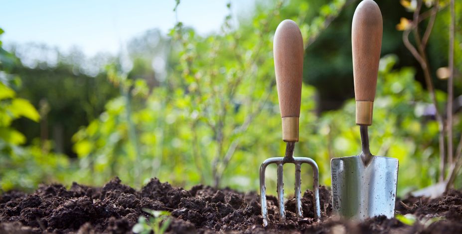 Découvrez les nématodes